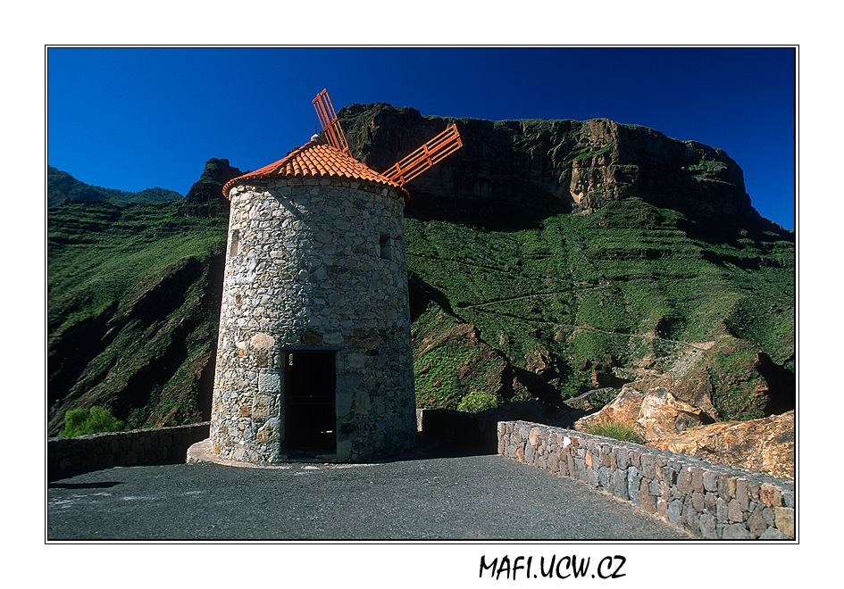 canaria06_02_01 .jpg